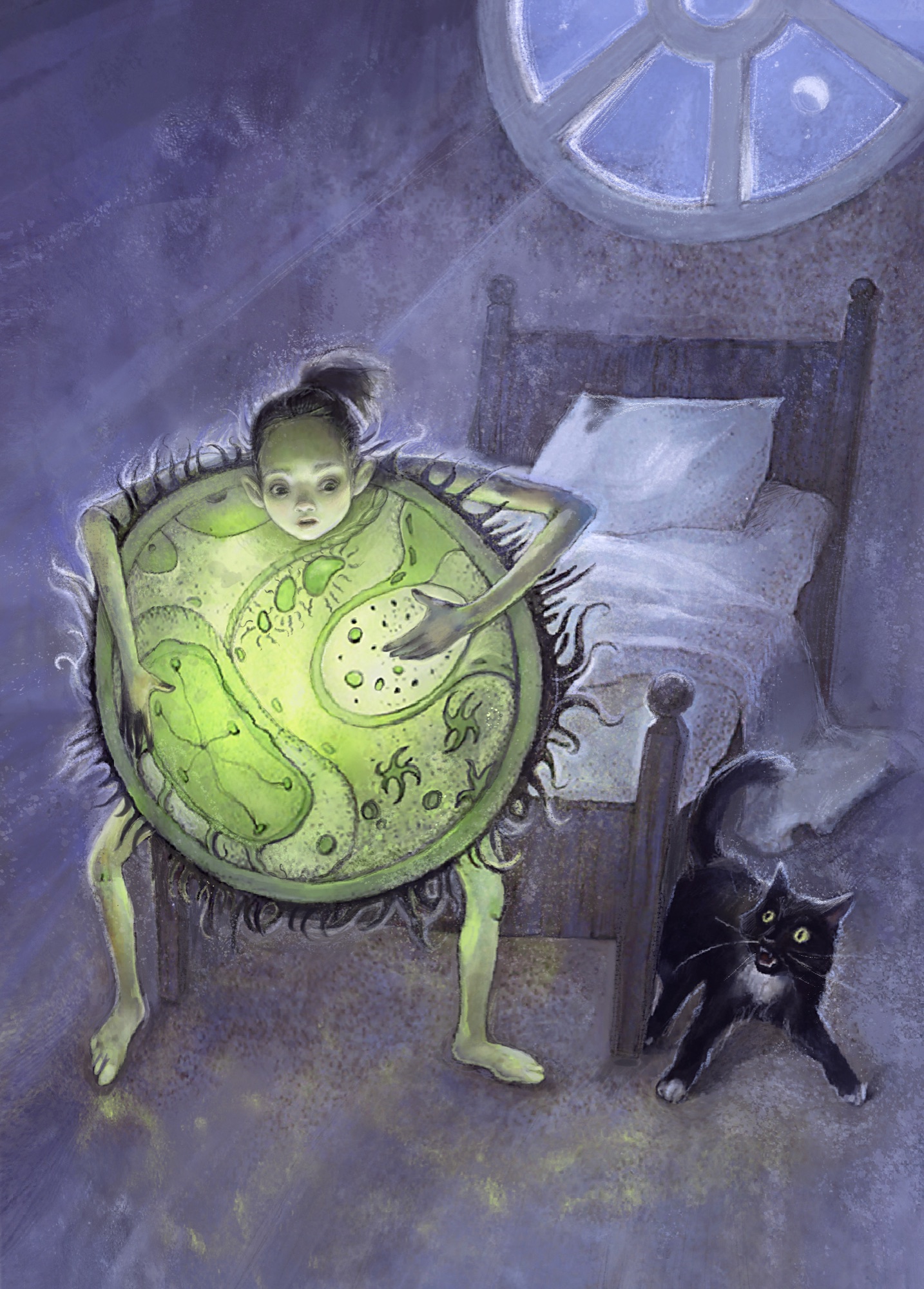 The Bacteria