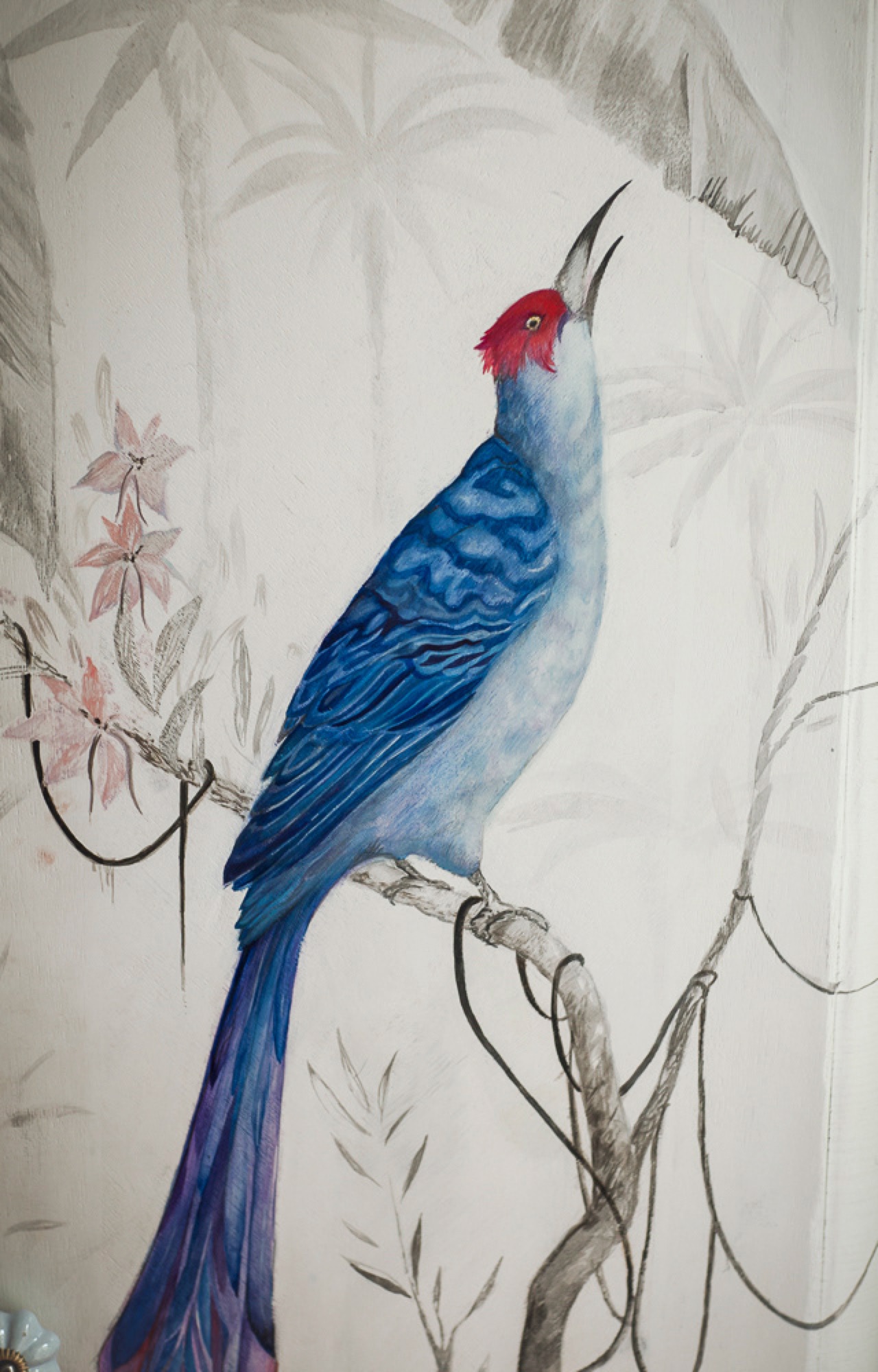 Bird wardrobe