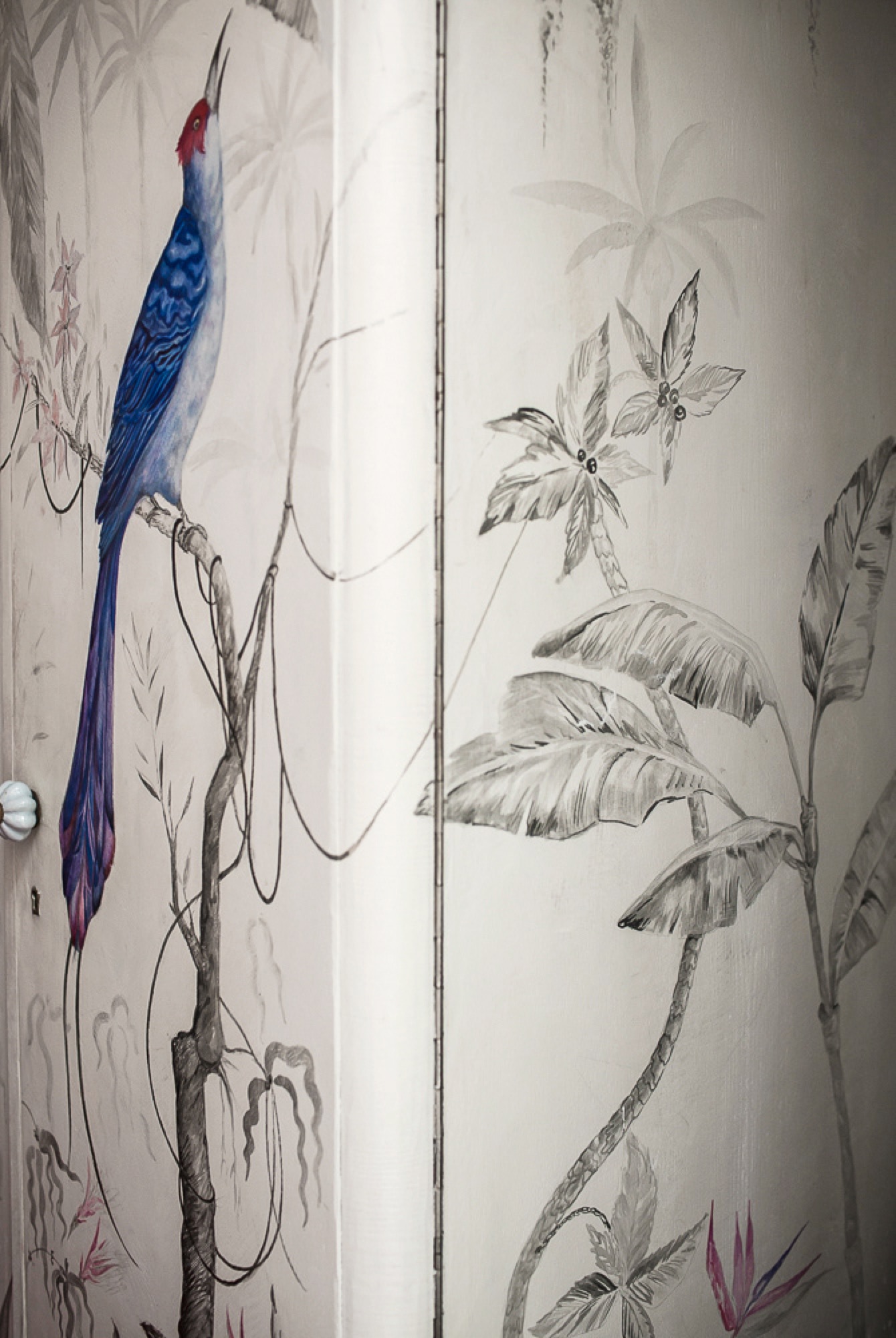 Bird wardrobe