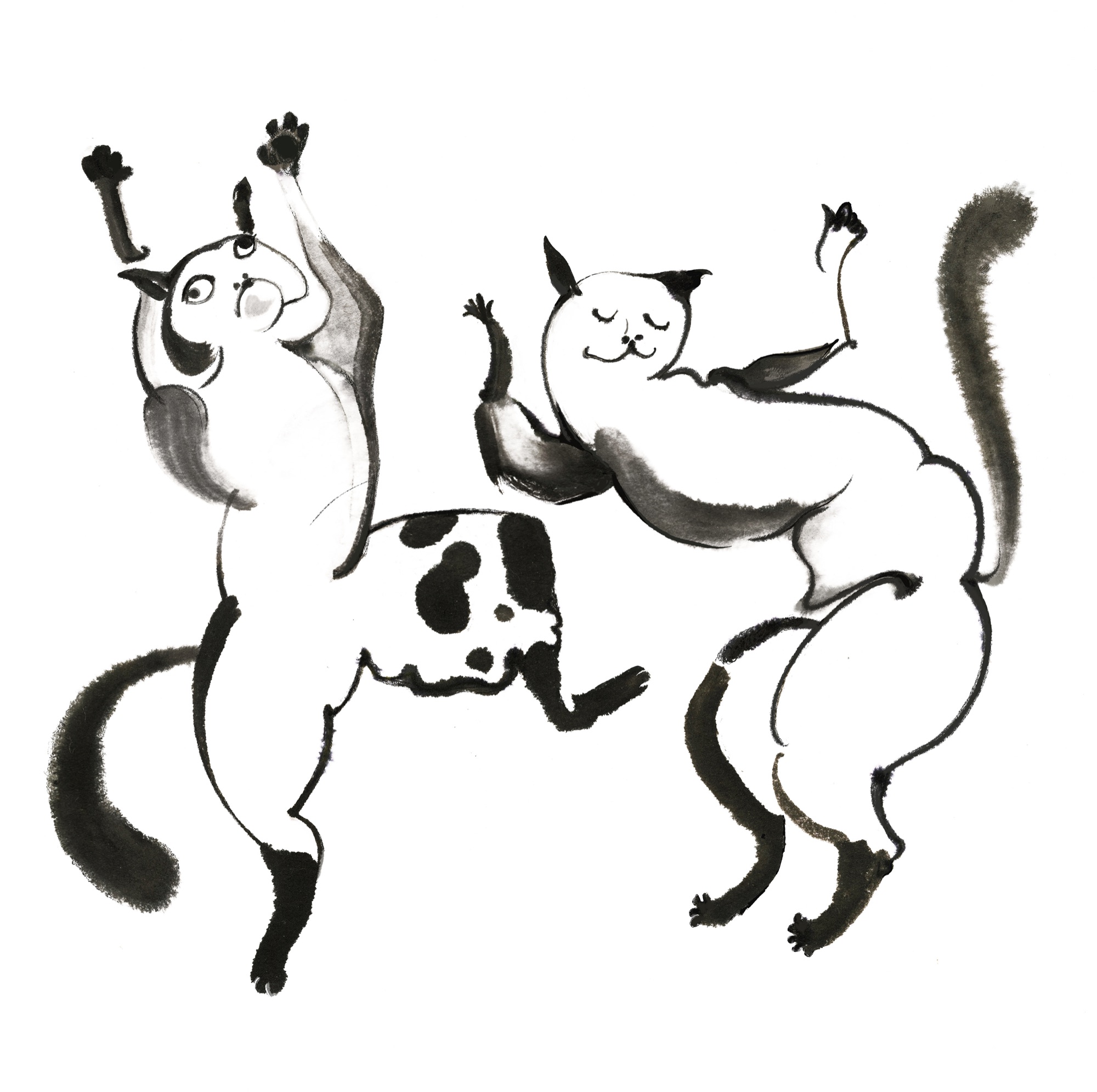 Dancing Cats