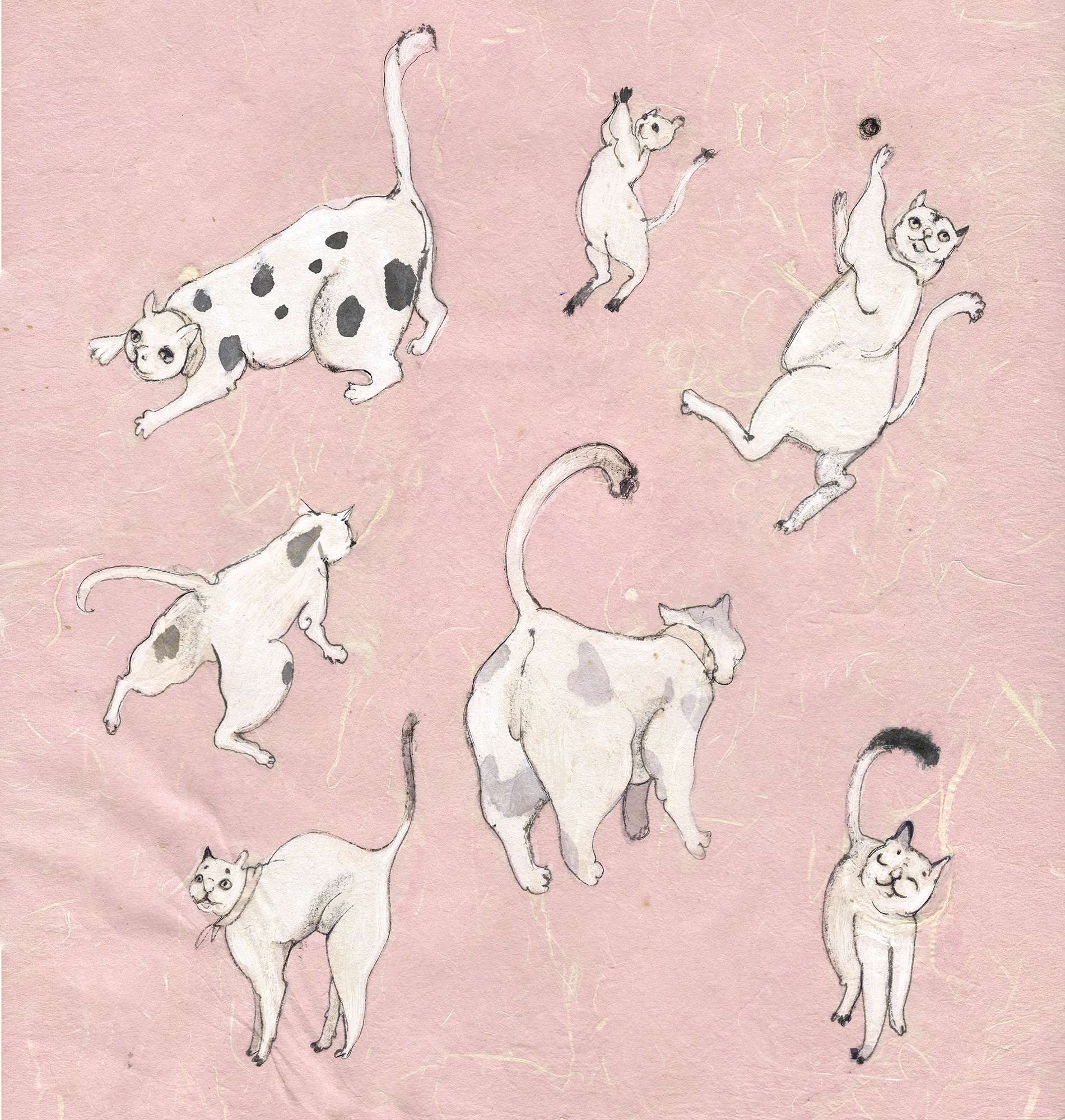 Dancing Cats