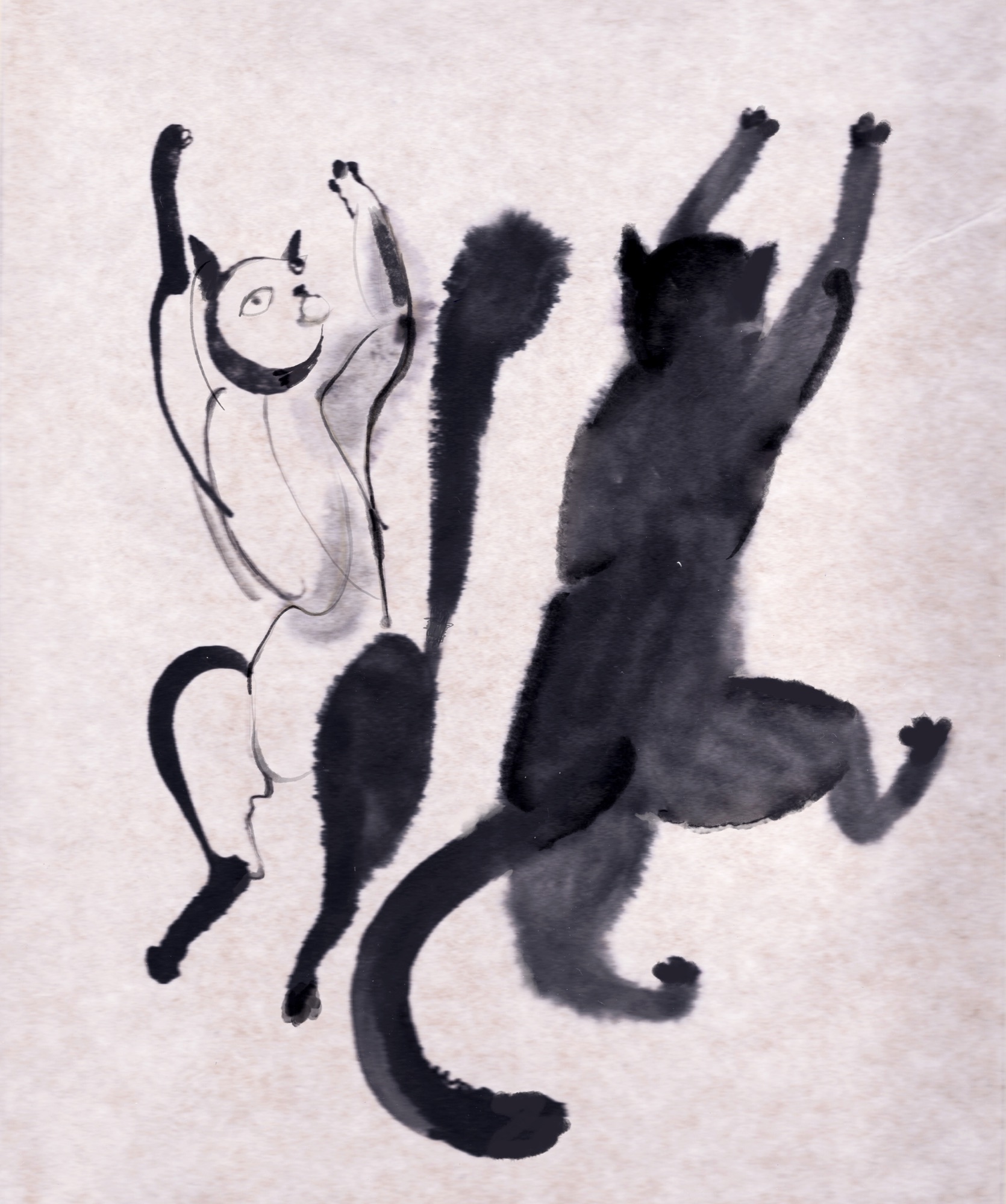 Dancing Cats