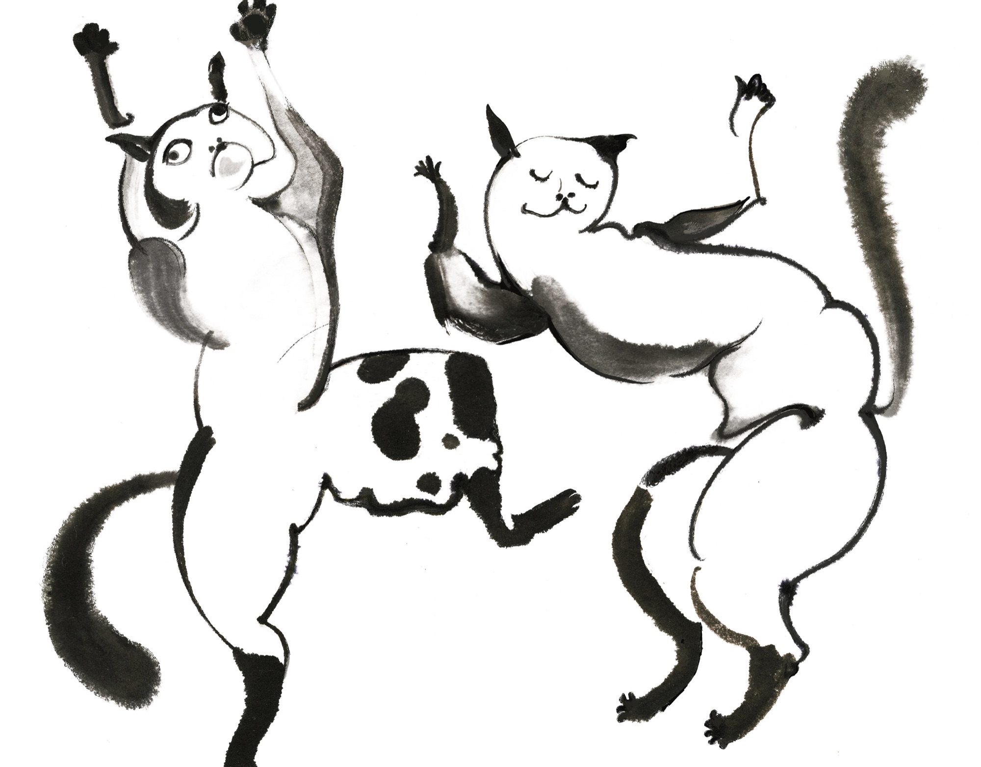 Dancing Cats