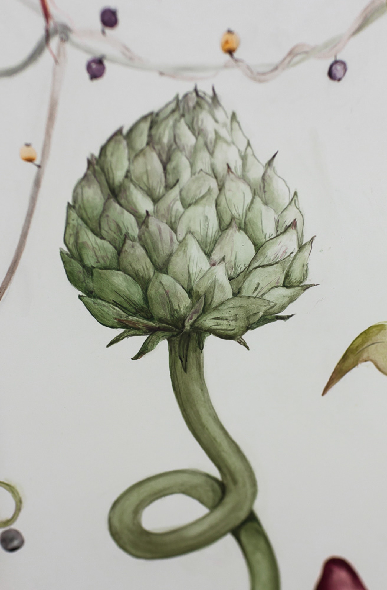 Savage flora